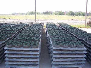 the pvc pallets for grass bricks